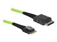 DELOCK Kabel OCuLink PCIe SFF-8611 zu Slim SAS SFF-8654 0,5 m