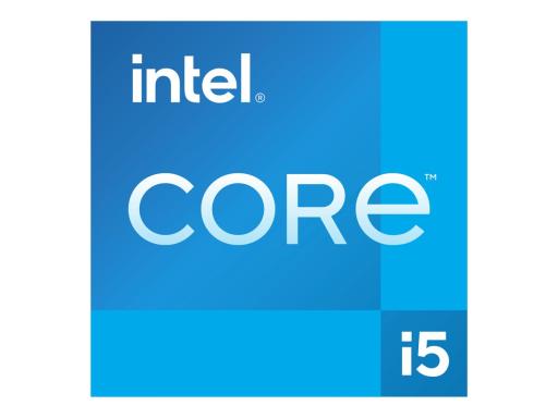 INTEL Core i5-13500 Sockel 1700 Box