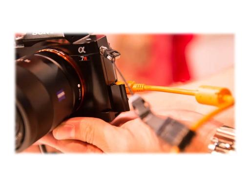 Image 32ed7fe8-6ee2-4f87-b9f2-bb360a009193.jpg Image