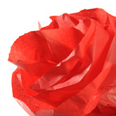 Image 339903900.jpg Image