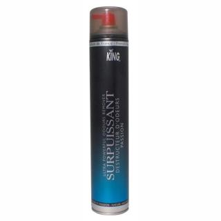 Raumduftspray King Absorbeur Odeurs Surpuissant PASSION 750 ml | Passion Hochleistungsgeruchsvertilger