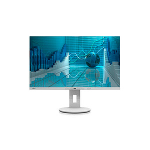 FUJITSU P2711 TE Monitor 68,6 cm (27,0 Zoll) schwarz