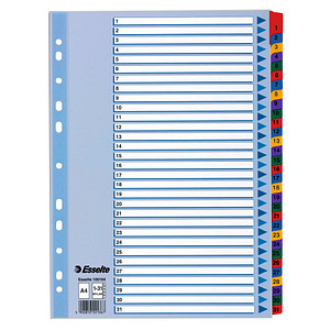 LEITZ Register  A4 Mylar 1-31