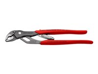 Image 355987b5-48c1-4ee9-93cf-62020db4be7c.jpg Image