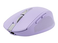 Image 360995fb-523b-4ae7-9cac-22325a48f1b8.jpg Image