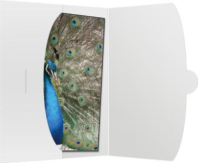 Image 3633058-1327.jpg Image