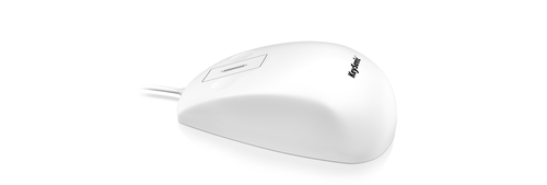 Image 36547308_2586797525.jpg Image