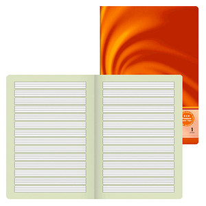 BRUNNEN Schulheft Vivendi Lineatur 1 liniert DIN A4 ohne Rand, 32 Blatt