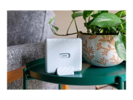 Image 37145b1b-1e24-4fcf-beb1-93daaf5338e7.jpg Image