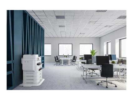 Image 37f1862c-fe0d-44c4-8384-ec83799ed85c.jpg Image