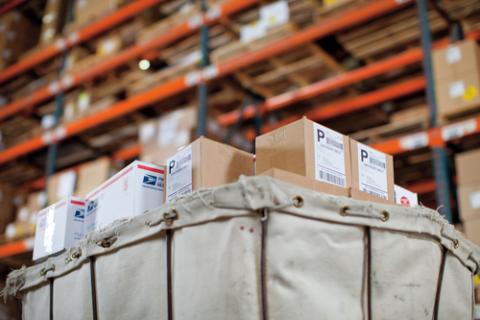 Image 3929716_4278313144.jpg Image