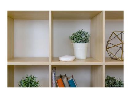 Image 39719bc2-45d2-4225-94bb-b12a18de34fa.jpg Image