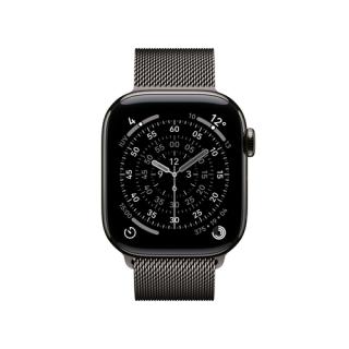 APPLE Watch S11 Titan Schiefer Cellular 42mm (Milanaise Armband schiefer)