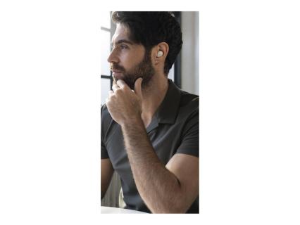 Image 3b6d6e34-4f76-4090-b983-703b1c7543a1.jpg Image