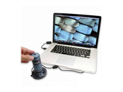 Image 3c3c88ec-21c5-4a8f-bd23-ae4f95f43c7d.jpg Image