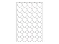 Image 3e601086-1c21-4758-8c46-865d31cc0a21.jpg Image