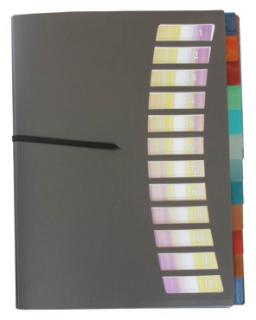 EXXO by HFP Registermappe / Ordnungsmappe / Sammelmappe, A4, aus PP, mit 12 farbig-transparenten Taben, Gummizug, mit Einschubfächern und Ausstanzungen zur Befestigung, Farbe: rauch – 1 Stück