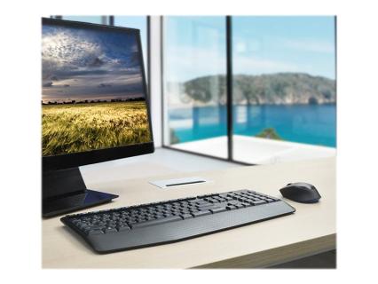 Image 40ad905c-cab2-4078-be16-334a670c75a5.jpg Image