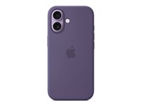 Image 42398d2b-7511-435d-8d33-7e7c3dfad009.jpg Image