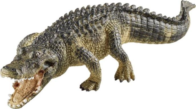 Image 43244639_1_2_4005086147270_H.jpg Image