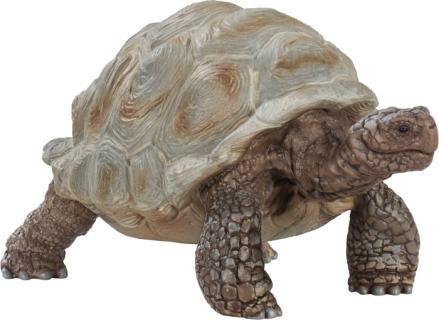 Schleich® Wild Life 14824 Riesenschildkröte Spielfigur