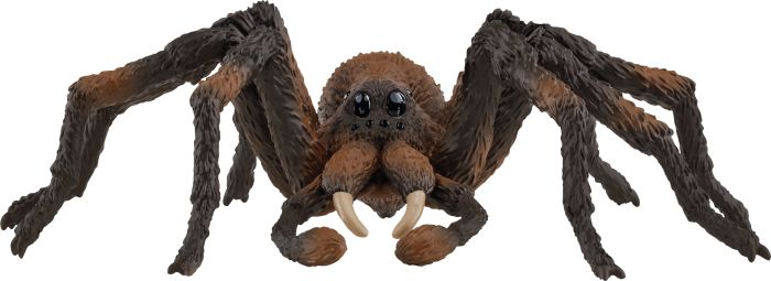 Aragog
