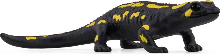 Feuersalamander