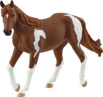 Paint Horse Stute