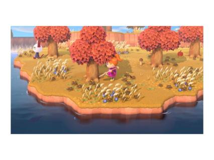 Image 44a0cbc3-9779-4a50-b51e-bbd439b14f75.jpg Image