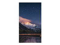 Image 45263c74-0bd0-4785-ada1-c8e90fb5c427.jpg Image