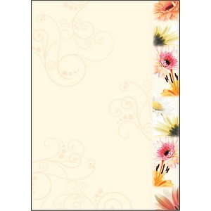 Image 467639.jpg Image