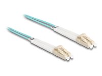 Image 46f1e45b-bdd6-4ebe-9854-339f6f6ed990.jpg Image