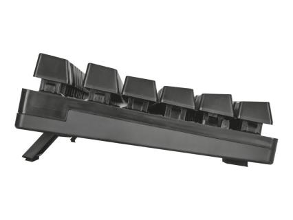 Image 4838f059-ae18-40bc-ac94-f0f26eeb6e0a.jpg Image