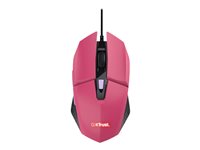 Image 48cd7ec5-cb76-4a47-a523-901507514e3b.jpg Image