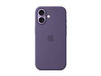 Image 4cc38c32-aae3-436a-9bf9-397c62f05c25.jpg Image