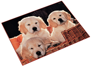 Image 5050273.jpg Image