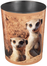 Image 5050400.jpg Image