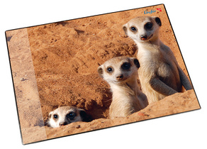 Image 5050402.jpg Image