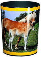 Image 5050439.jpg Image