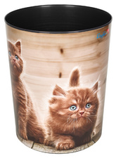 Image 5051050.jpg Image