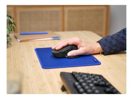 Image 51096fe0-5804-4987-a140-727dbf7ad07c.jpg Image