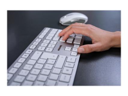 Image 510c34f4-c1c2-4876-bf2b-0458587ab94a.jpg Image