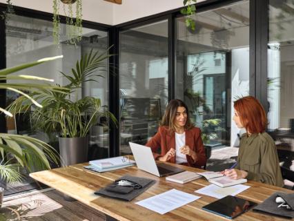 DURABLE Laptophülle MultiBag EFFECT, 16,4", PET-Filz, grau