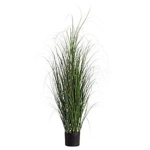 Image 521361.jpg Image