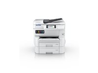 Image 52c505b3-27f0-4718-a8eb-292f8fa32558.jpg Image