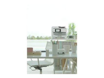 Image 53054a23-272f-4c97-b95b-bd446ac97a59.jpg Image