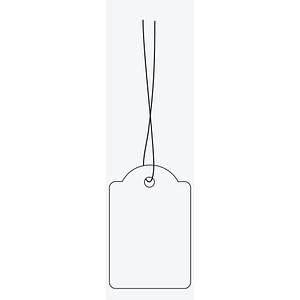 Image 537023.jpg Image