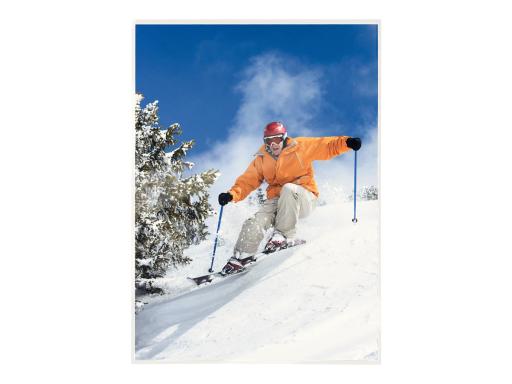 Image 53d296e1-d7ca-454a-84b2-724ac38d8122.jpg Image