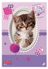 Image 54089019.jpg Image