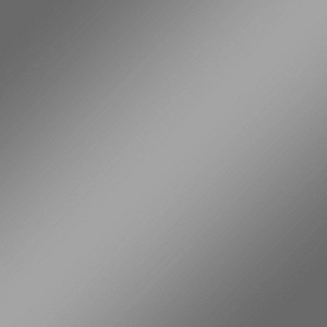 plottiX SpeedFlex Metallic Aufbügelfolie silber Flex-Folie 32,0 x 50,0 cm,  1 Rolle